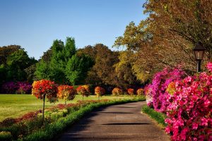 gardens