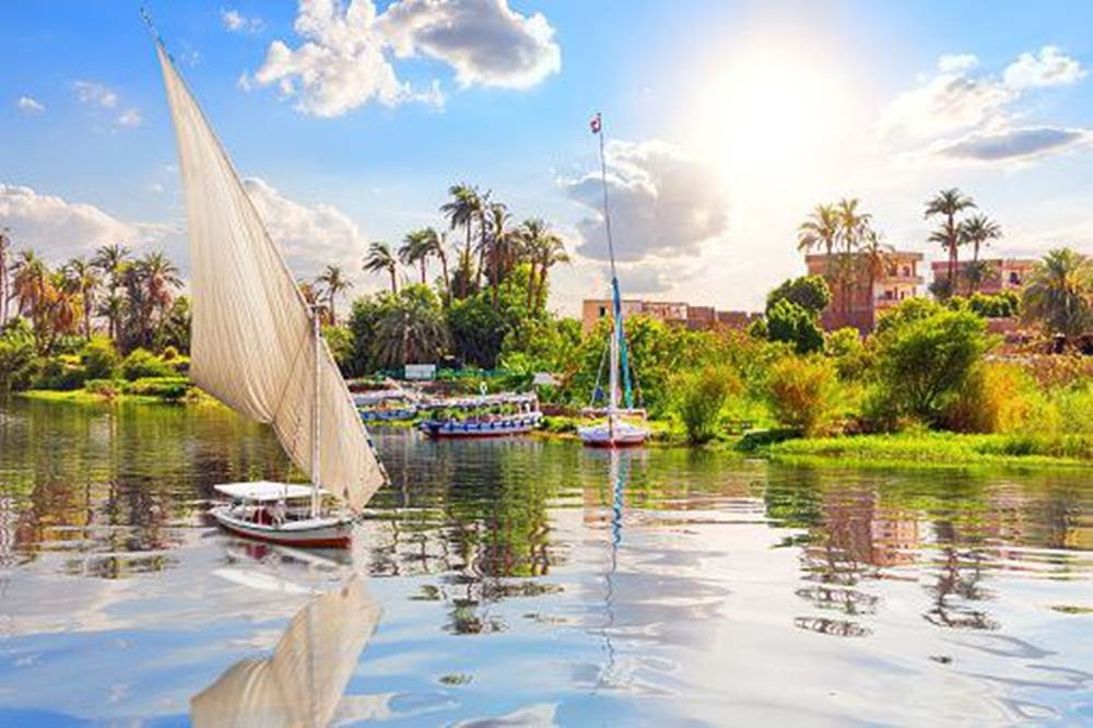 جزيرة النباتات جزيرة النباتات